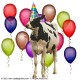 Thumbs/tn_birthday cow.jpg